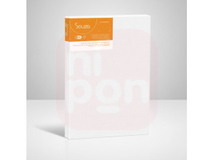 Tela para Pintura 20x30 - Souza